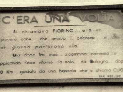 A ricordare questa specie di �miracolo� venne addirittura posta una targa, proprio all�angolo fra via Andrea da Bari e corso Vittorio Emanuele, l� dove si trovava la bottega di Francesco 